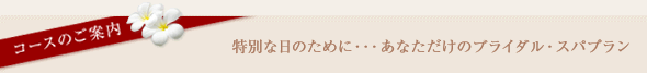 コースのご案内